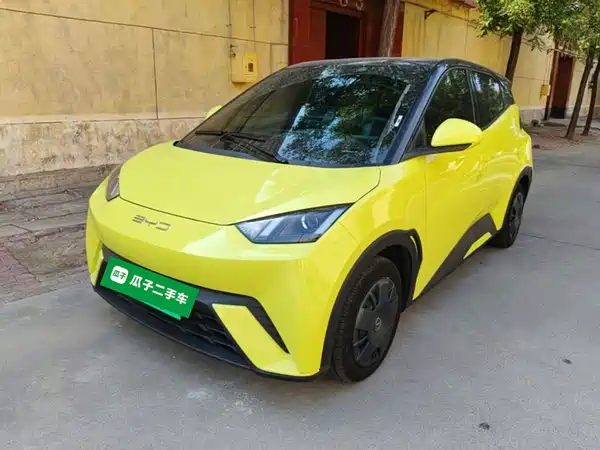 BYD Seagull 2024