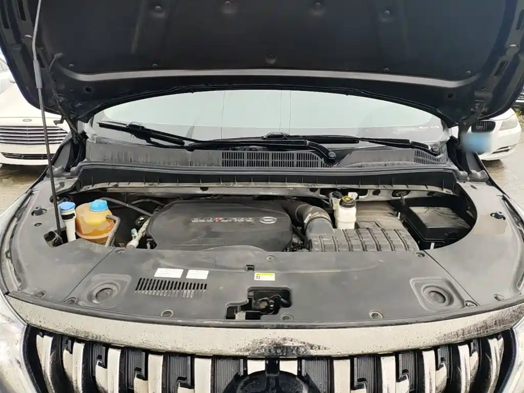 GAC Motor Trumpchi M8 2021 — фото 20