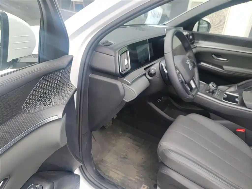BYD Pro New Energy 2025 — фото 16