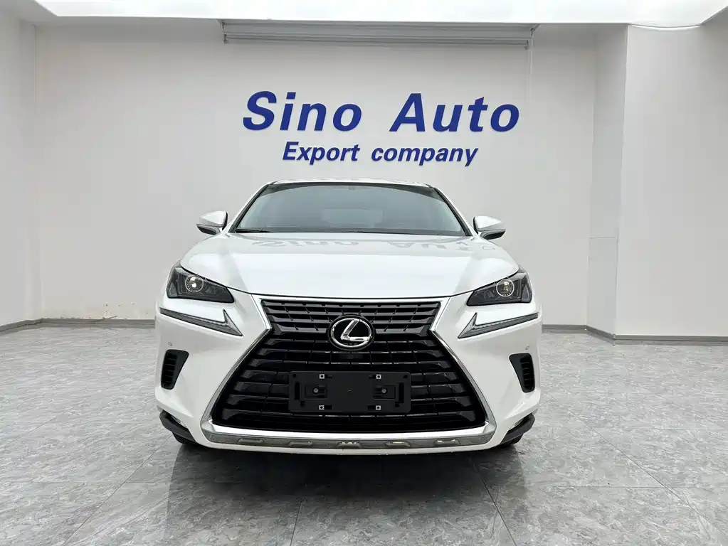 Lexus NX 2021 — фото 1
