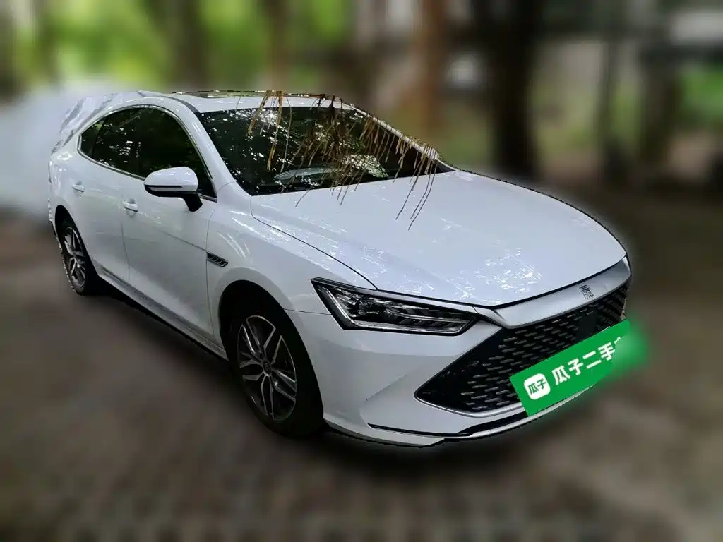 BYD Qin PLUS 2021 — фото 24