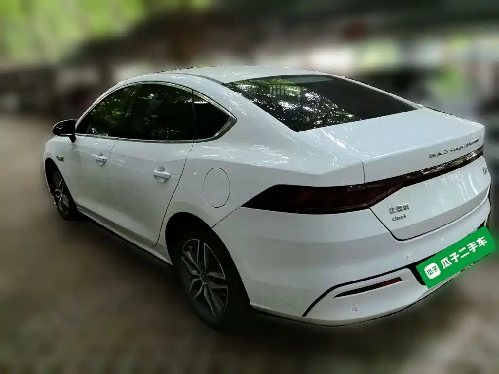 BYD Qin PLUS 2021 — фото 25