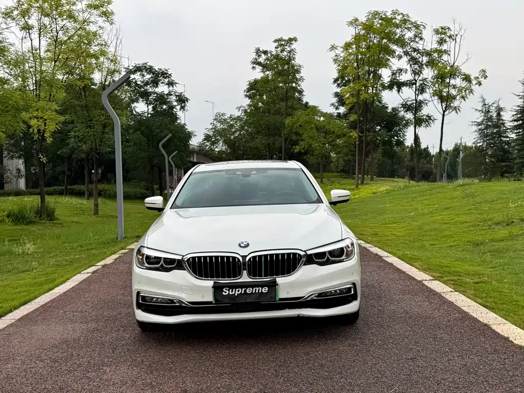 BMW 5 Series New Energy 2018