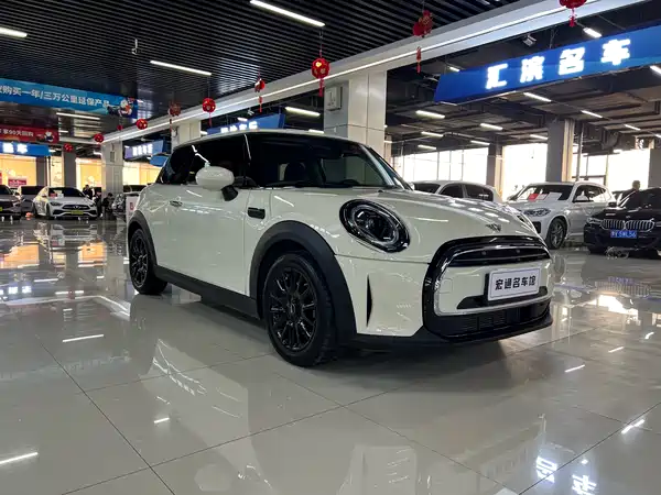 MINI MINI 2022