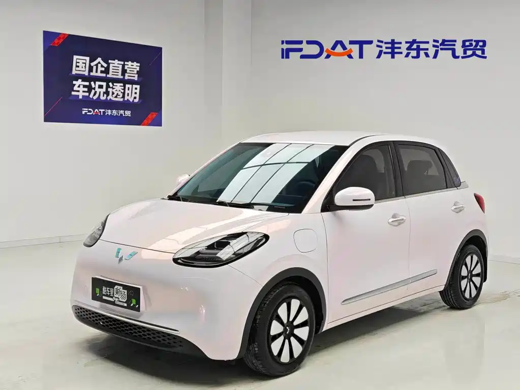 Wuling Bingo 2024