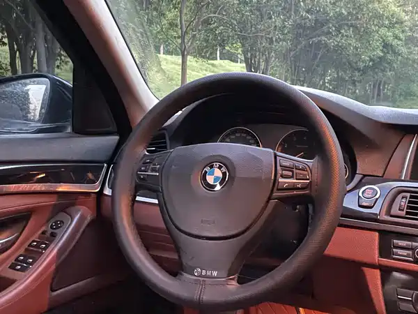 BMW 5 Series 2014