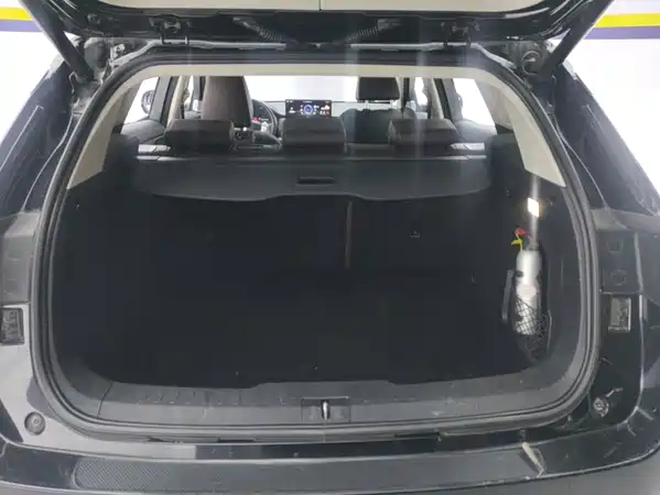 Wey VV6 2021