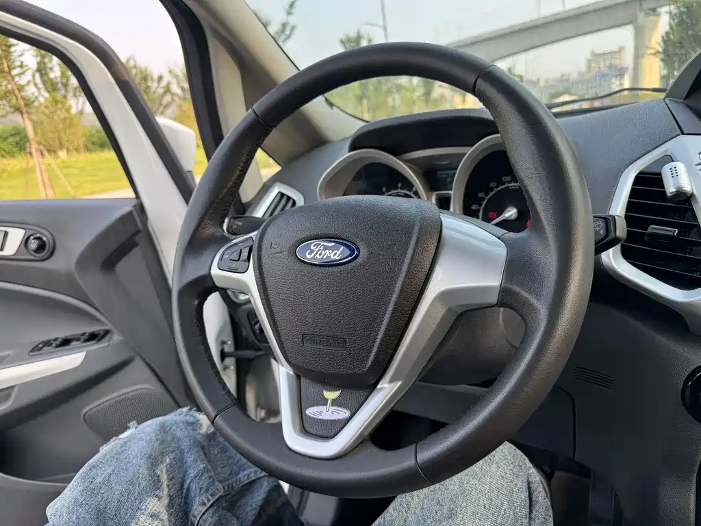 Ford Ecosport 2013 — фото 14