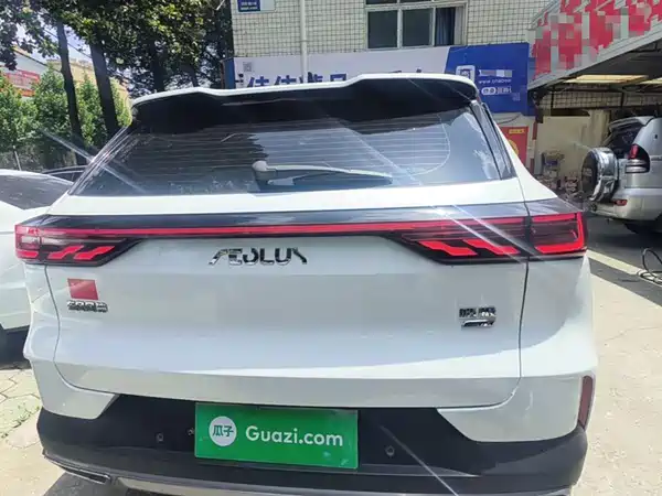 Dongfeng Haoji 2022