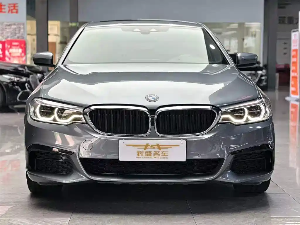 BMW 5 Series 2019