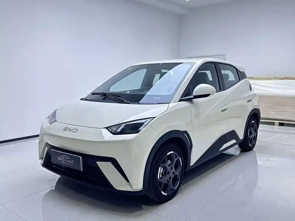 BYD Seagull 2025