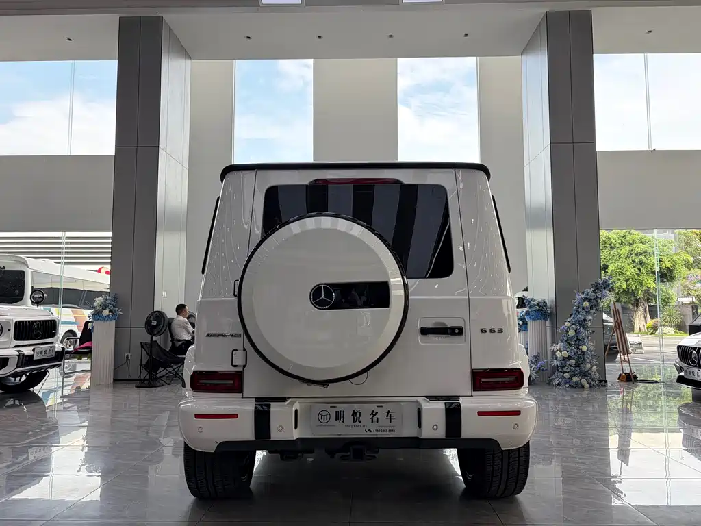 Mercedes-Benz G-Class 2020 — фото 15