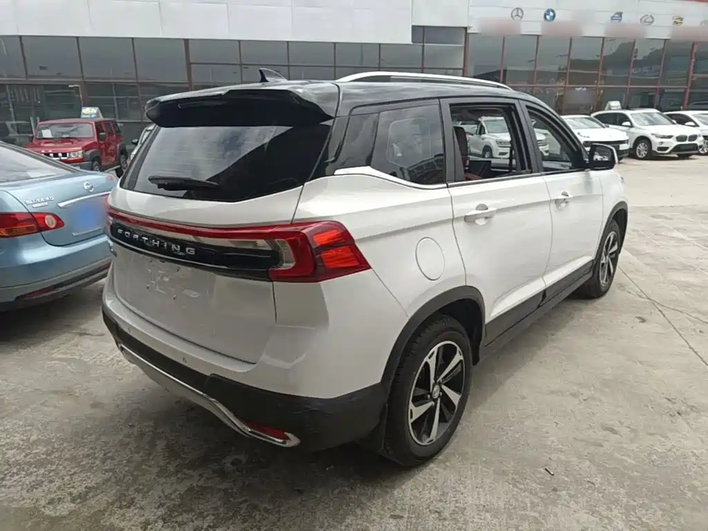 Fengxing T5 2020