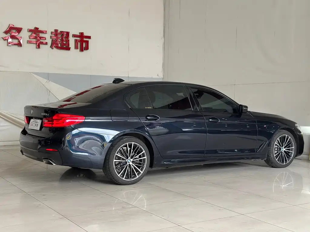BMW 5 Series 2019 — фото 17