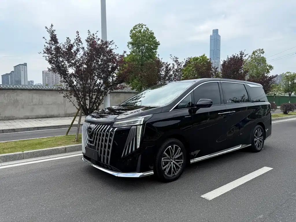GAC Motor Trumpchi M8 2024 — фото 1
