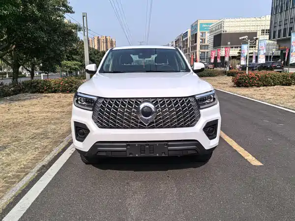 Great Wall Poer 2024