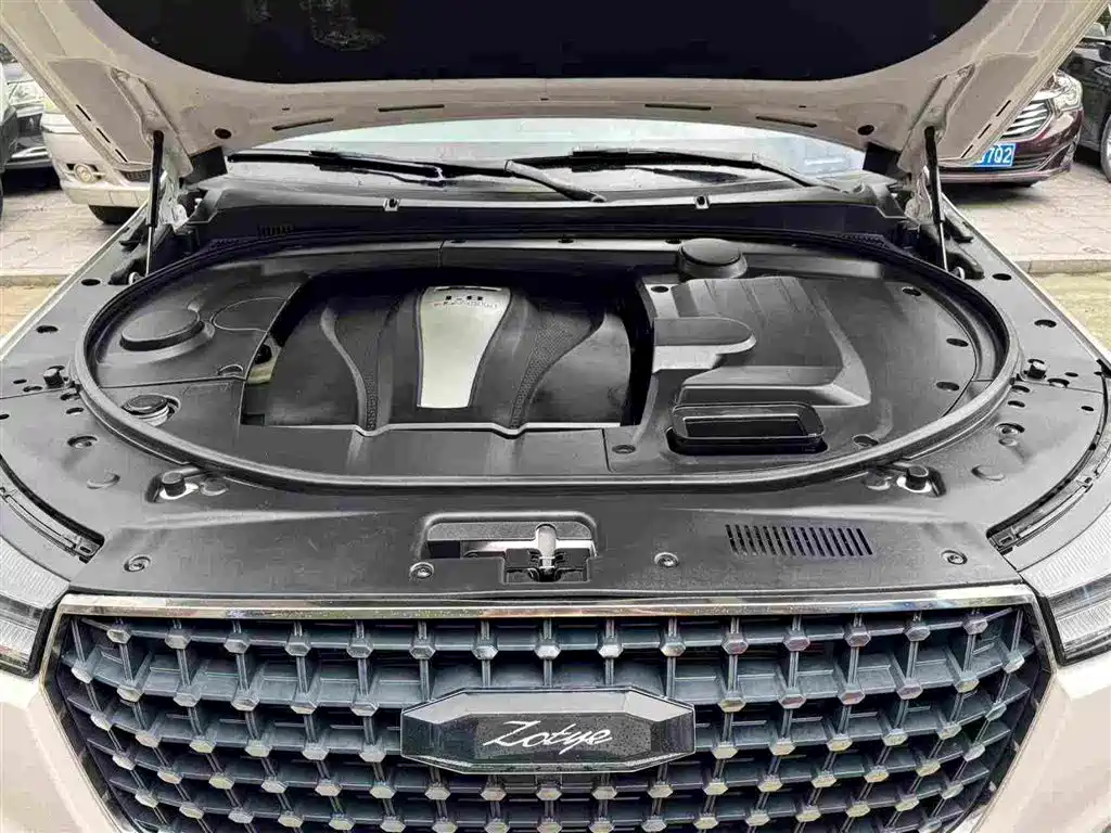 Zotye T700 2020 — фото 16