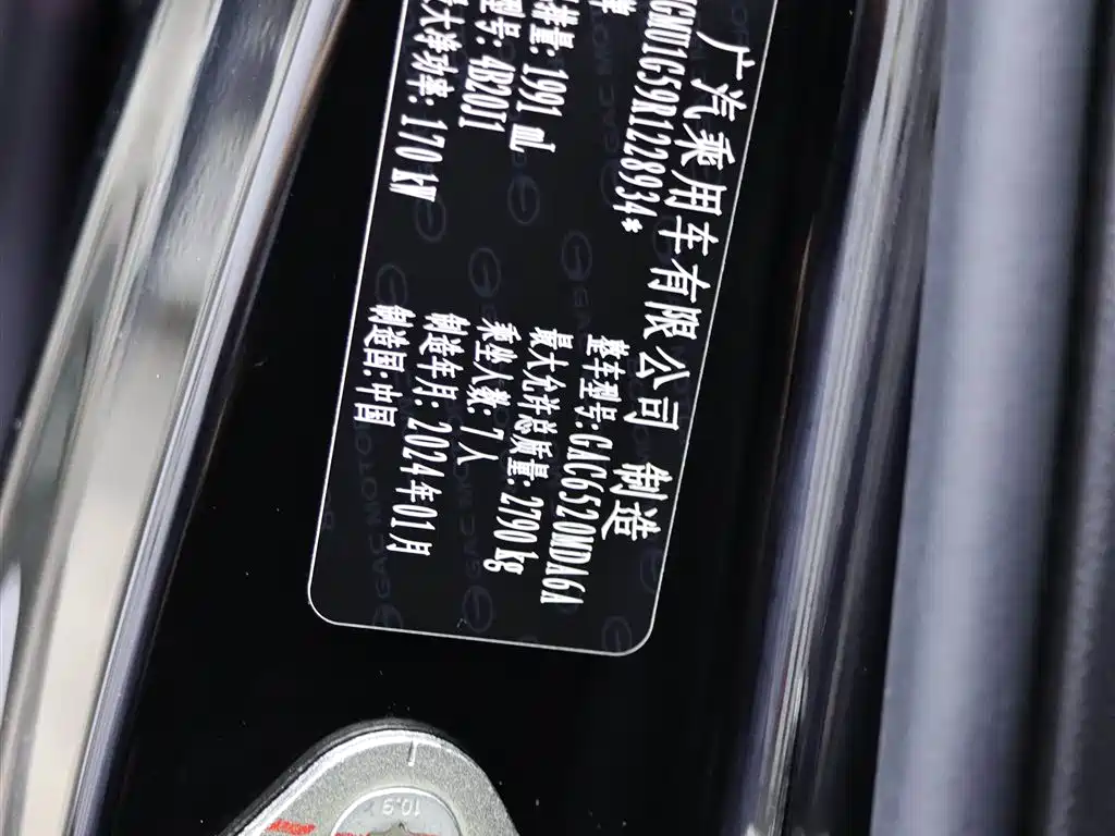 GAC Motor Trumpchi M8 2024 — фото 19