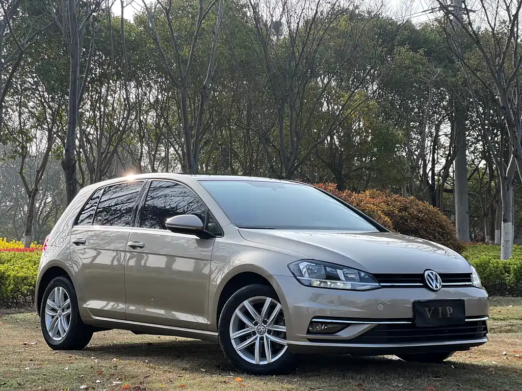 Volkswagen Golf 2019 — фото 14