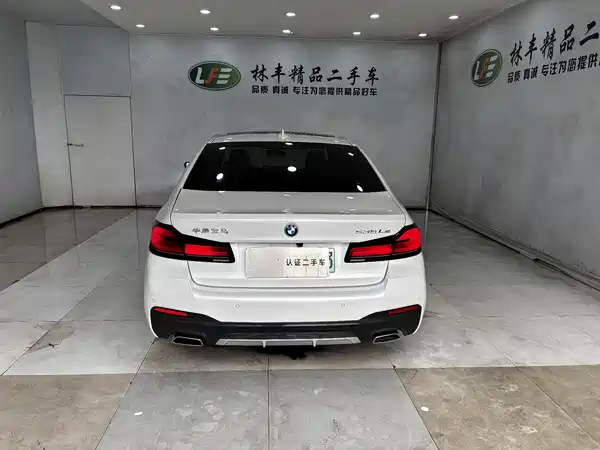 BMW 5 Series New Energy 2022