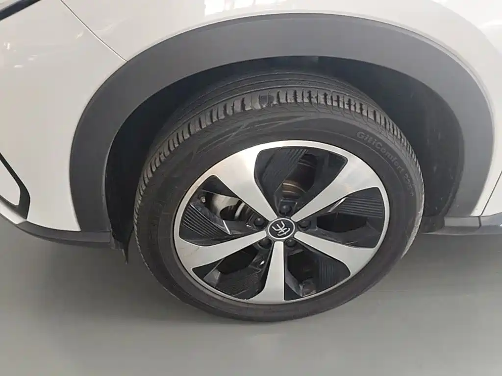 BYD Song PLUS New Energy 2023 — фото 23