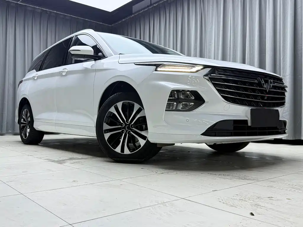 Wuling Capgemini 2022