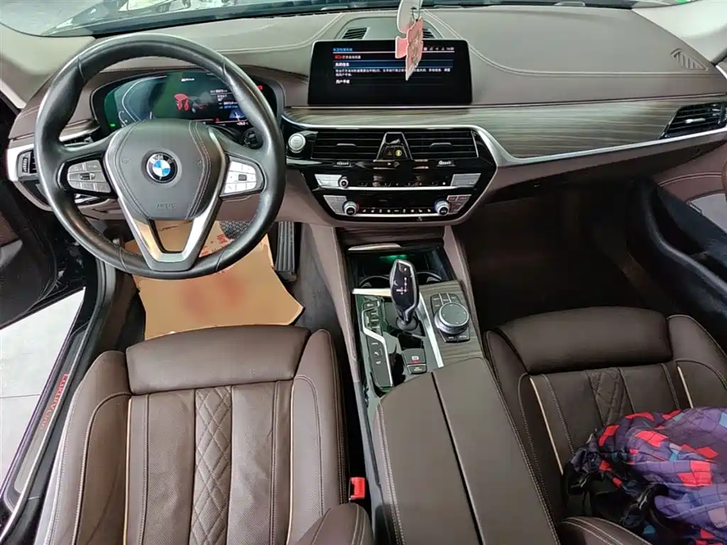 BMW 5 Series New Energy 2020 — фото 10