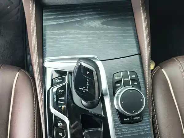 BMW 5 Series New Energy 2021