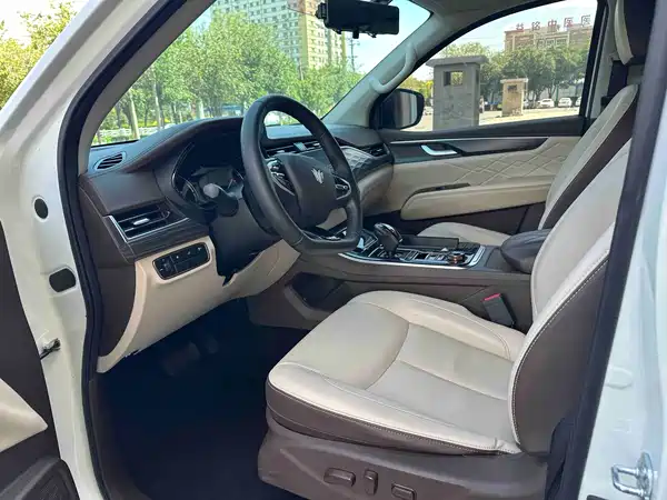 Dongfeng Paladin 2024