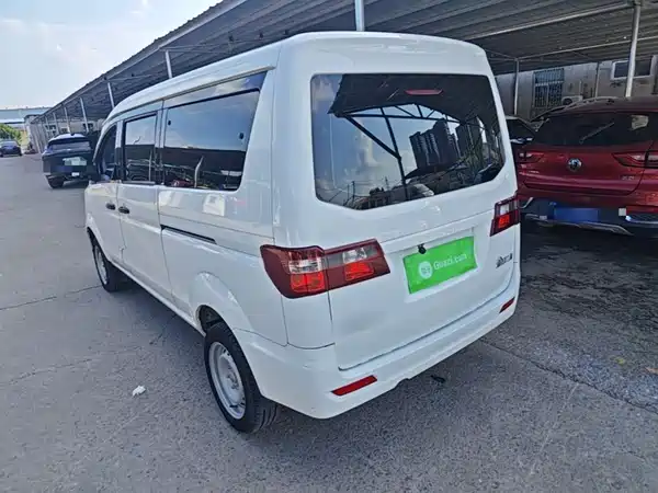 Jinbei Golden Sea Lion M Classic 2025