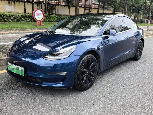 Tesla Model 3 2020