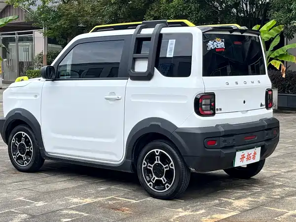 Geely Galaxy Panda 2024