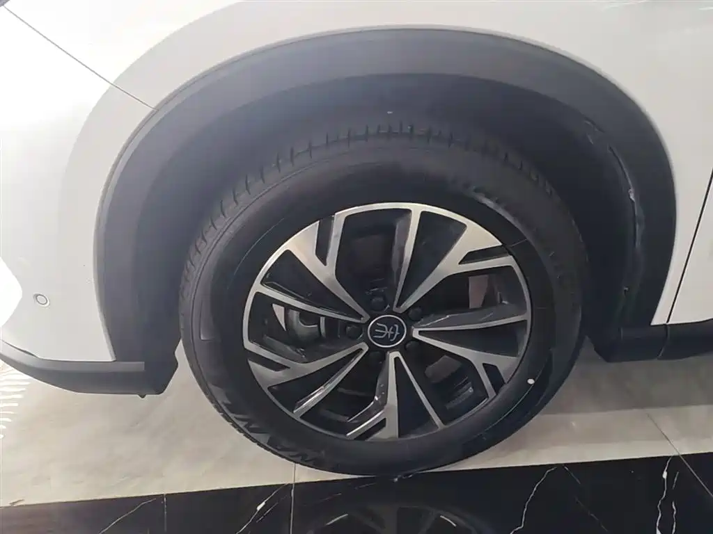BYD Pro New Energy 2025 — фото 23