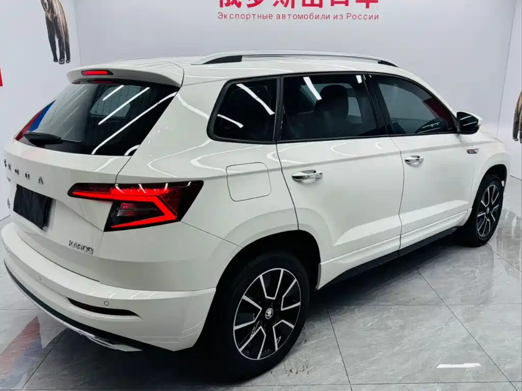 Skoda Karoq 2023 — фото 11