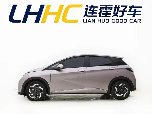 BYD Dolphin 2022