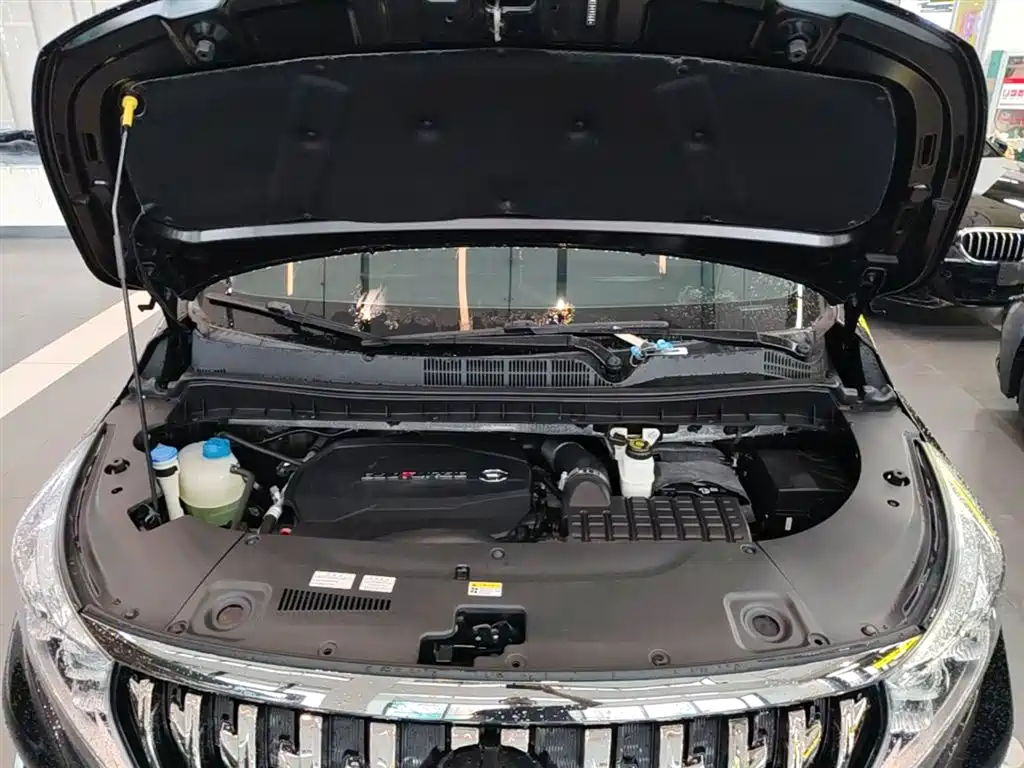 GAC Motor Trumpchi M8 2021 — фото 20