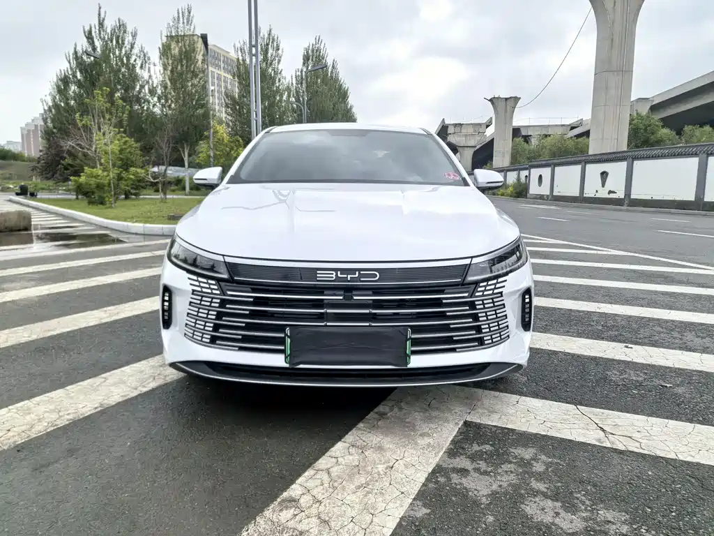 BYD Destroyer 05 2024 — фото 2