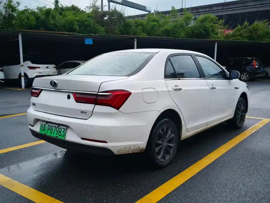 BYD Qin New Energy 2020 — фото 6