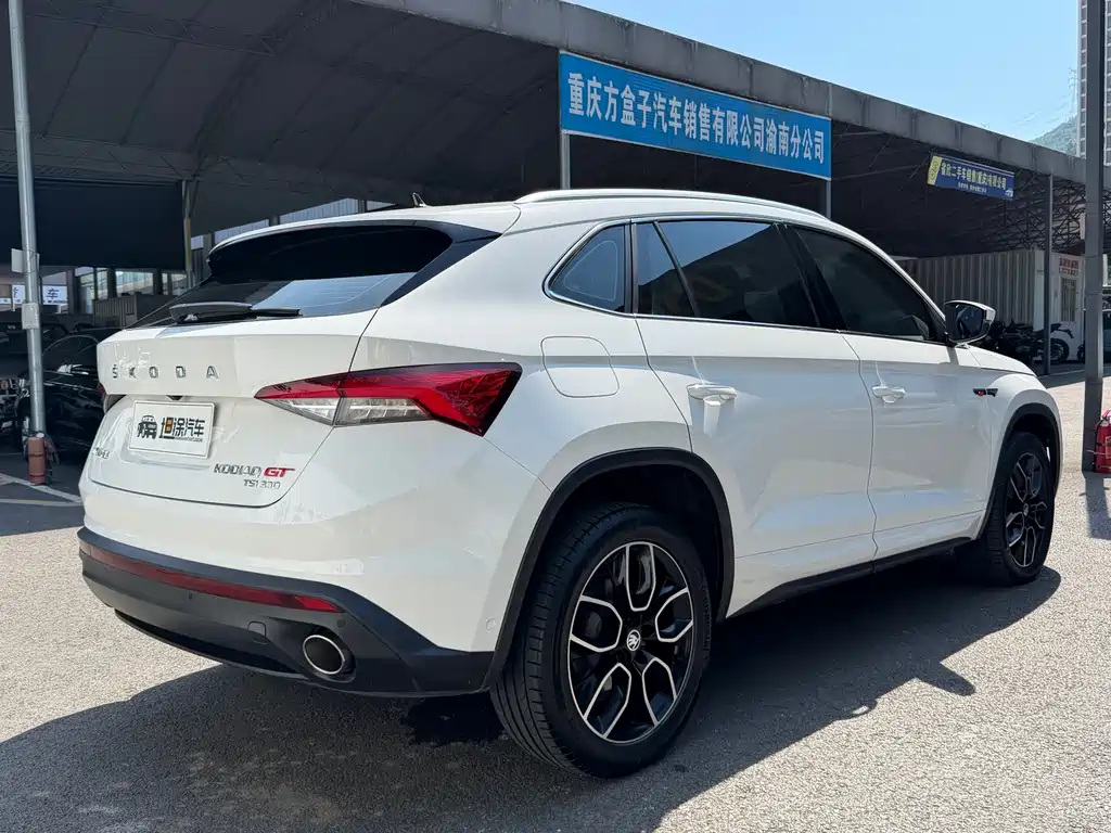 Skoda Kodiak GT 2020 — фото 27