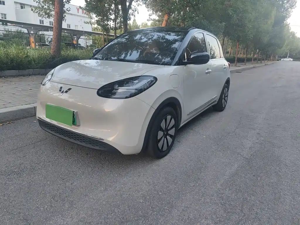 Wuling Bingo 2024