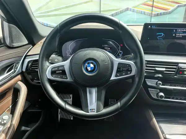 BMW 5 Series New Energy 2021