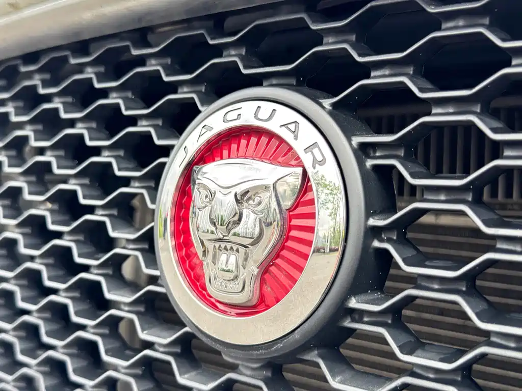 Jaguar F-PACE 2017 — фото 25