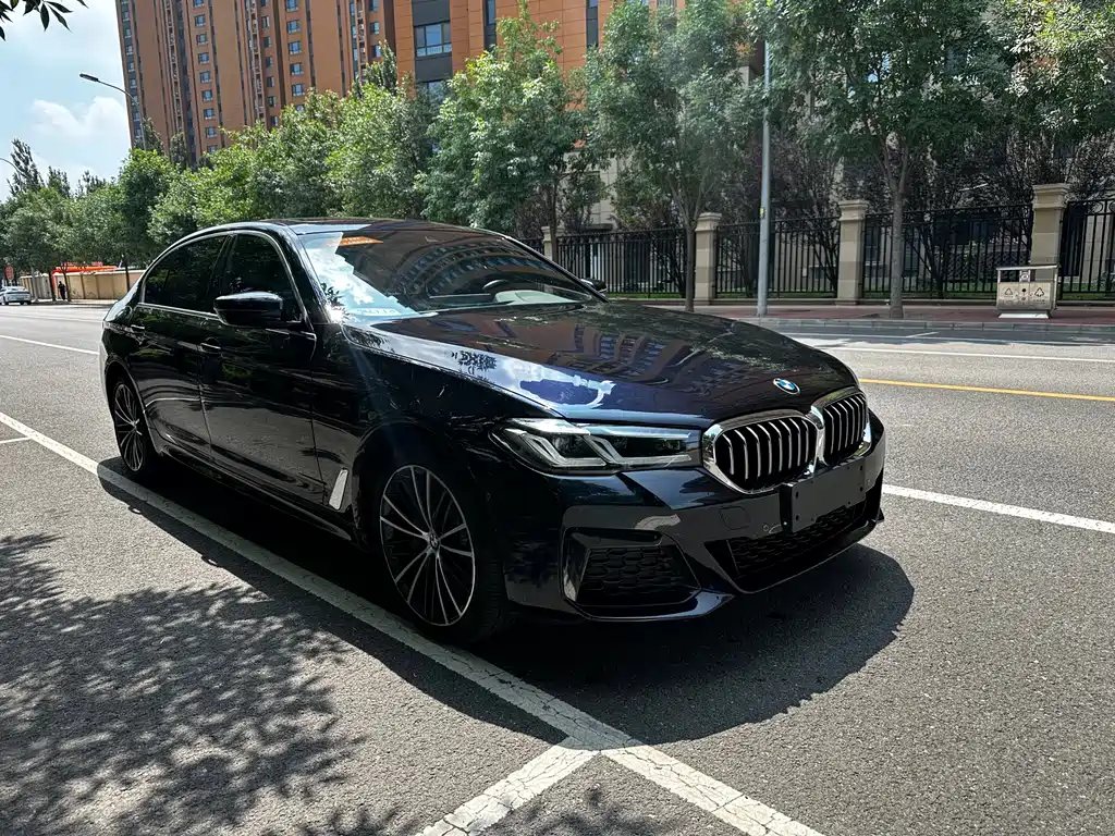 BMW 5 Series 2021