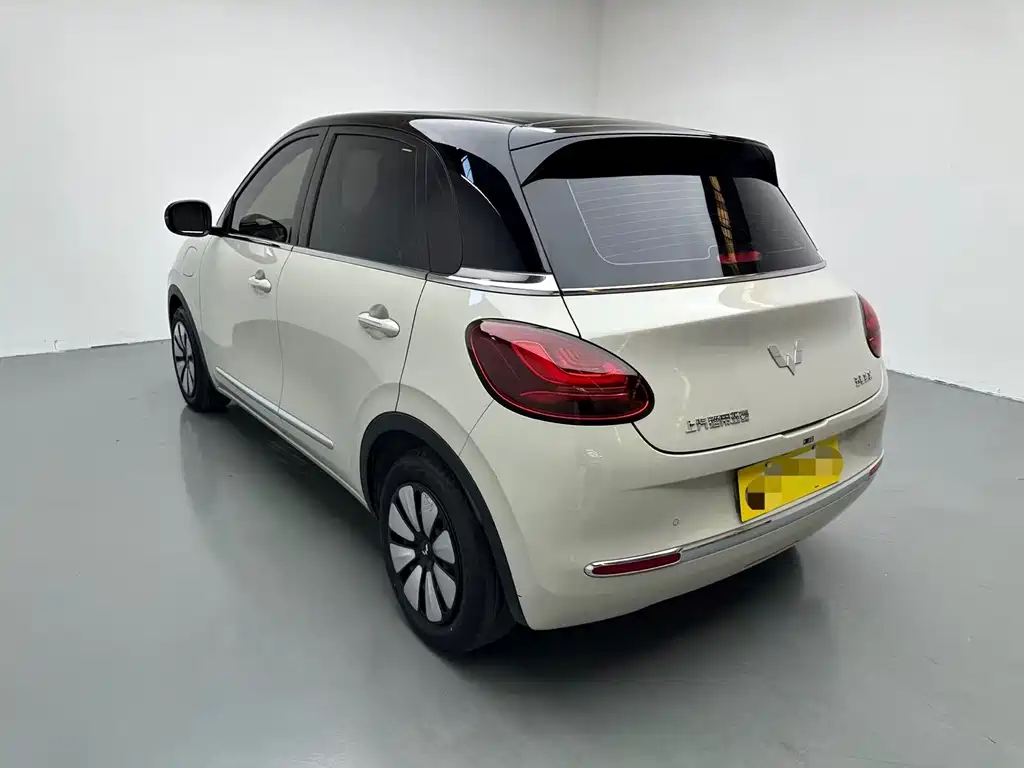Wuling Bingo 2024