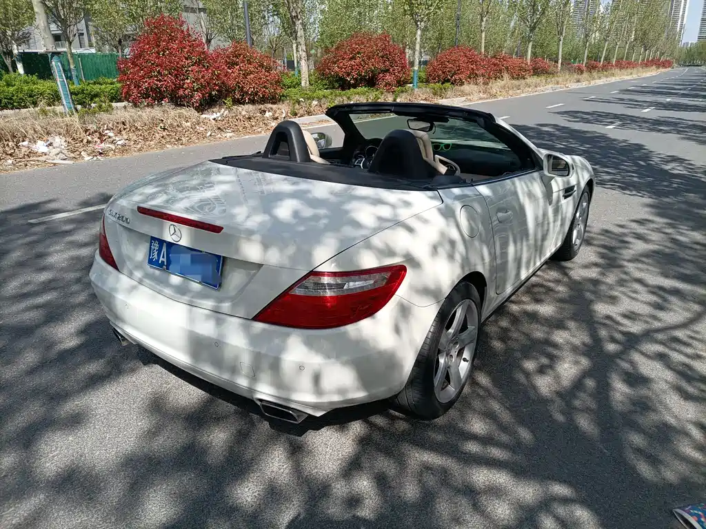 Mercedes-Benz SLK-Class 2014 — фото 5