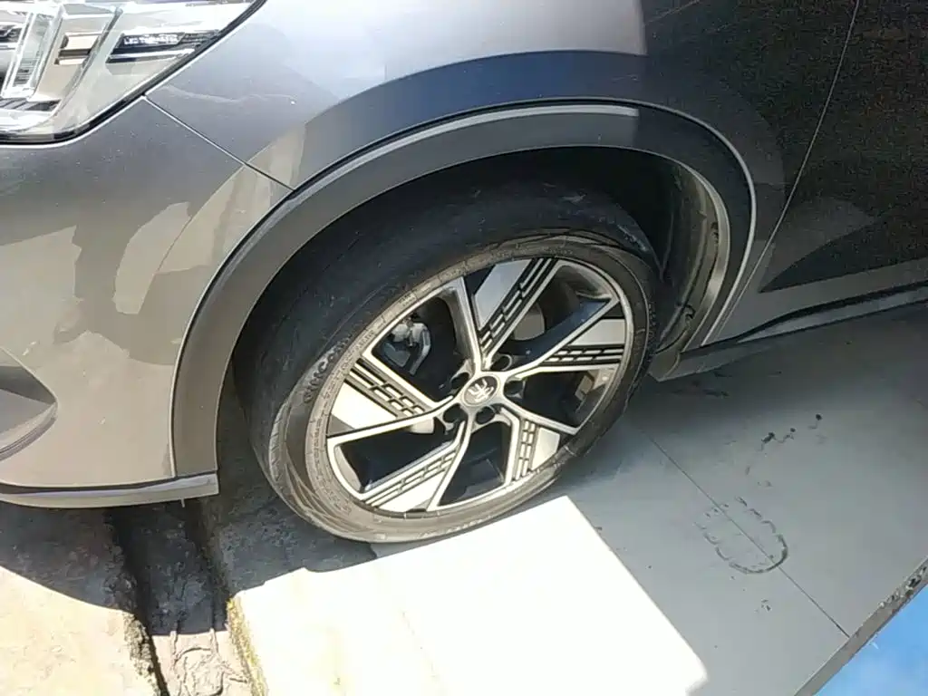 BYD Song Pro New Energy 2024 — фото 23