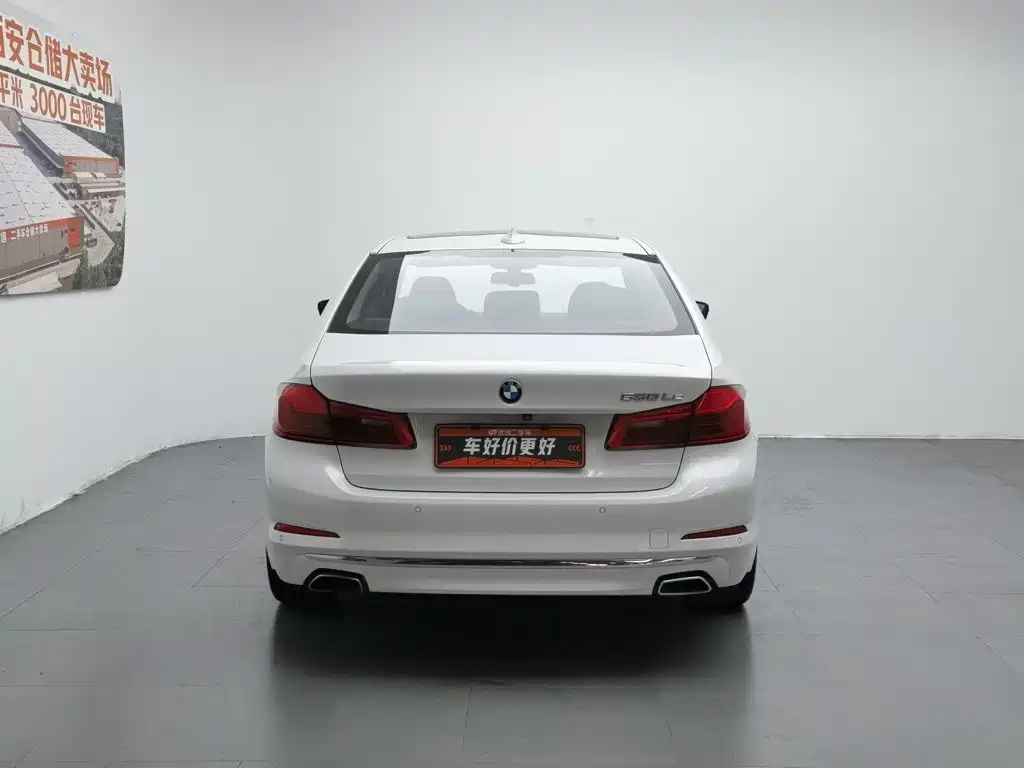 BMW 5 Series New Energy 2020