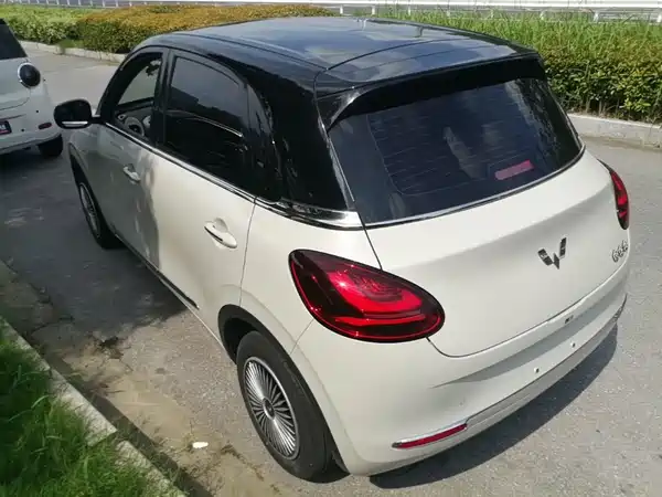 Wuling Bingo 2024