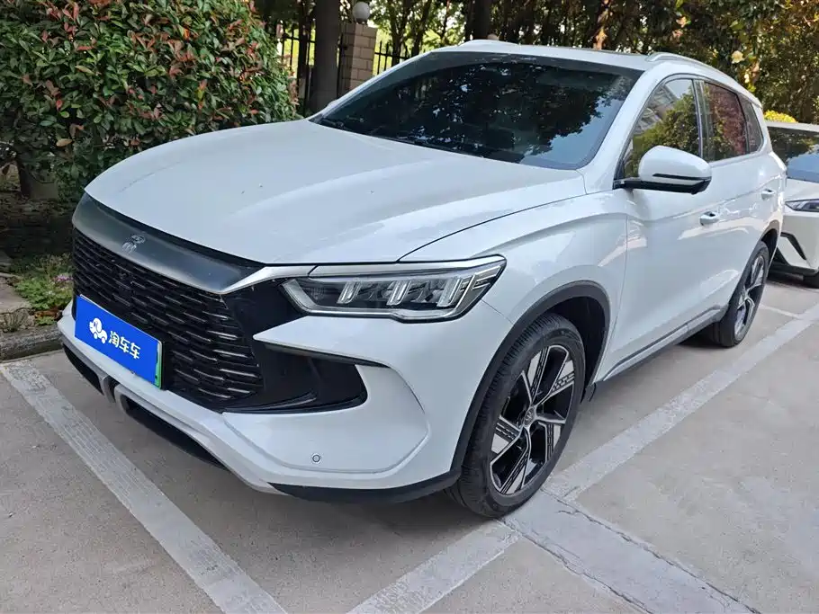 BYD Pro New Energy 2024 — фото 1