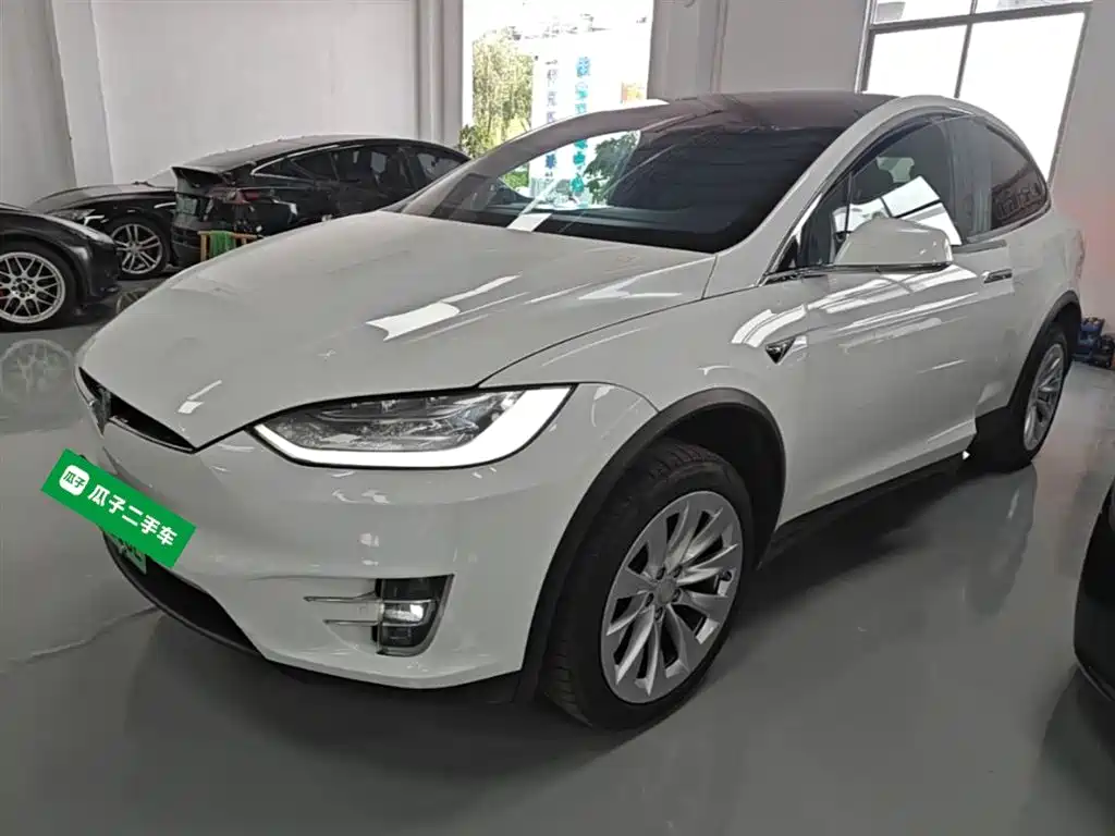 Tesla Model X 2021 — фото 1